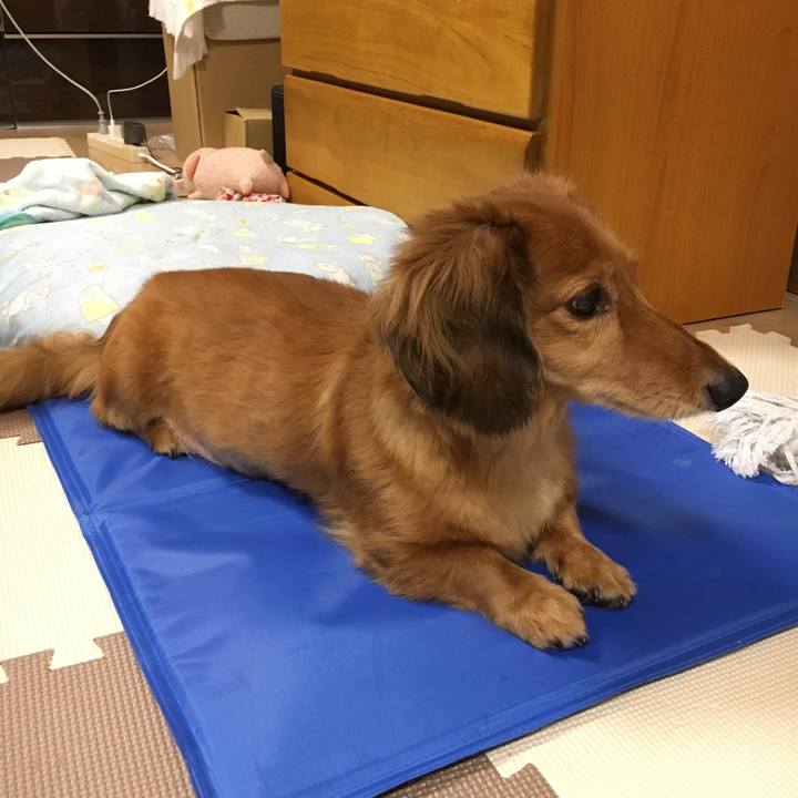 921651f5 28f3 4eb3 ad2c 86aed57d6d19 1534429480346