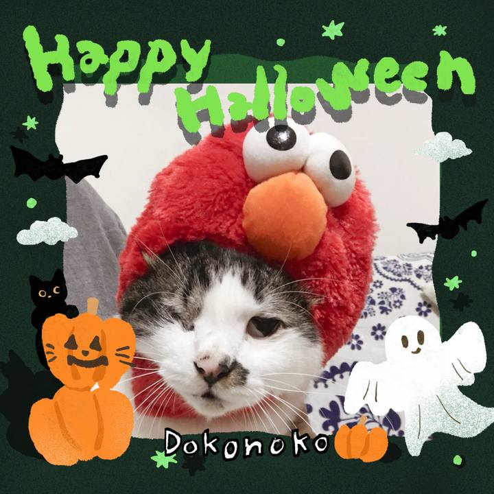 92167569 b837 478b 94b7 3615a873312a 1729216618865