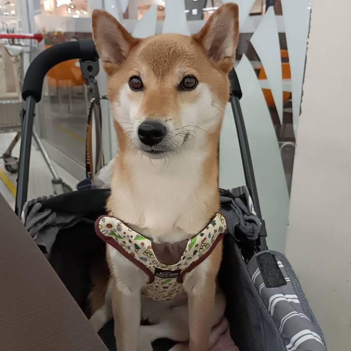 9216803a 8b21 4ff2 af4a 2f7b4ccca6b9 1748072152908