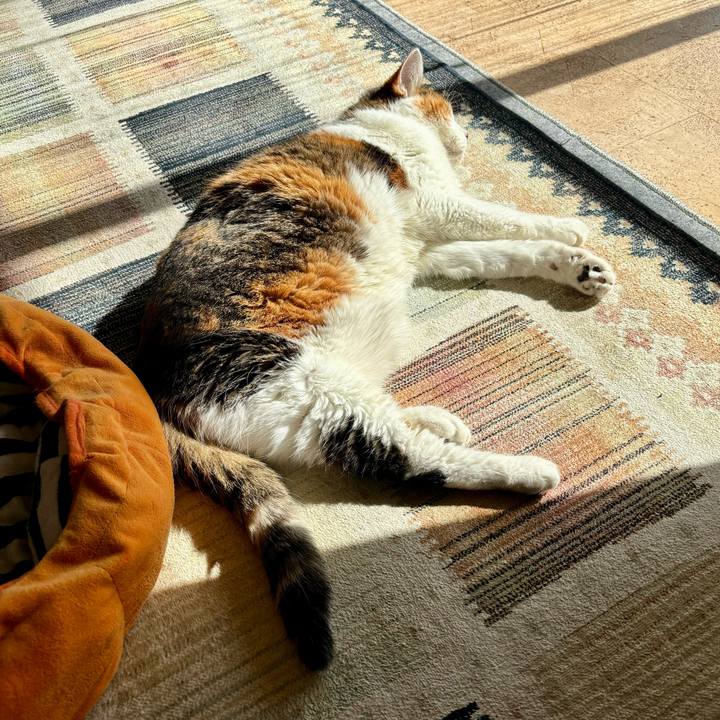 92169233 27c5 4111 a164 66bd6786e020 1706401014453