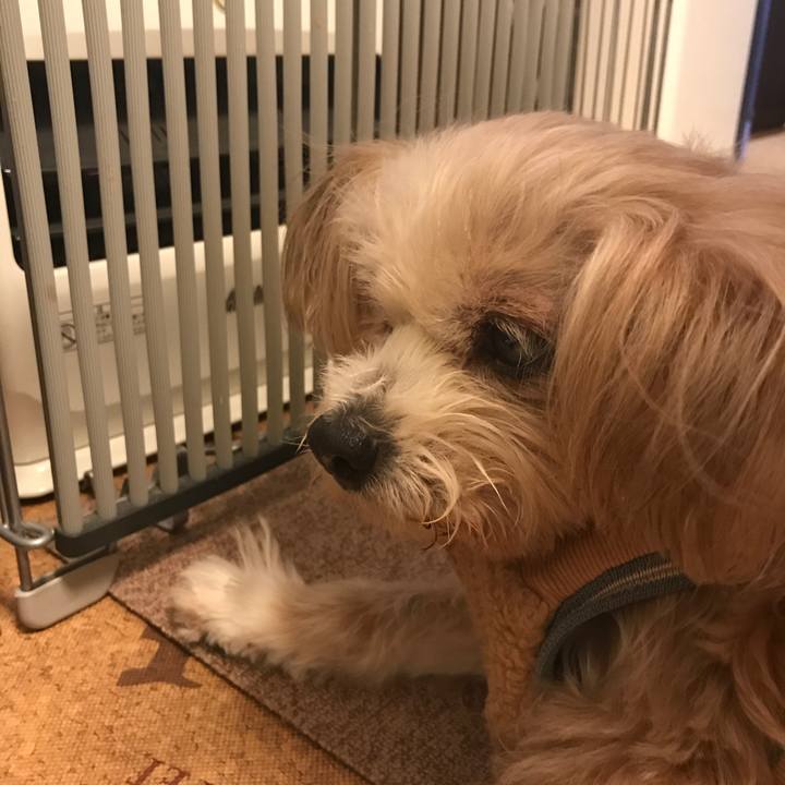 92169861 38fa 45cb 8441 c9c1dc8c8904 1512821831488