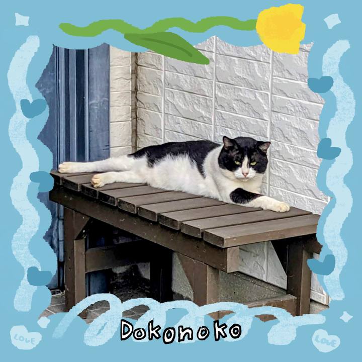 9216ab00 5462 4413 a62a 82af87663ade 1772258773364