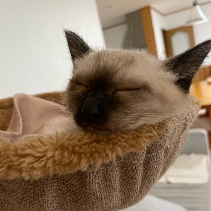 9216b462 5ca8 48ea ab2a 785d2bfc6e2a 1688068109165