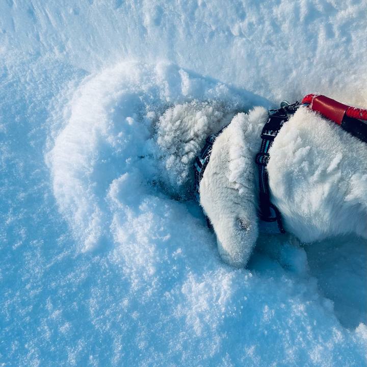 92170326 4a97 40c5 8c33 ed02c79f0732 1740176967330