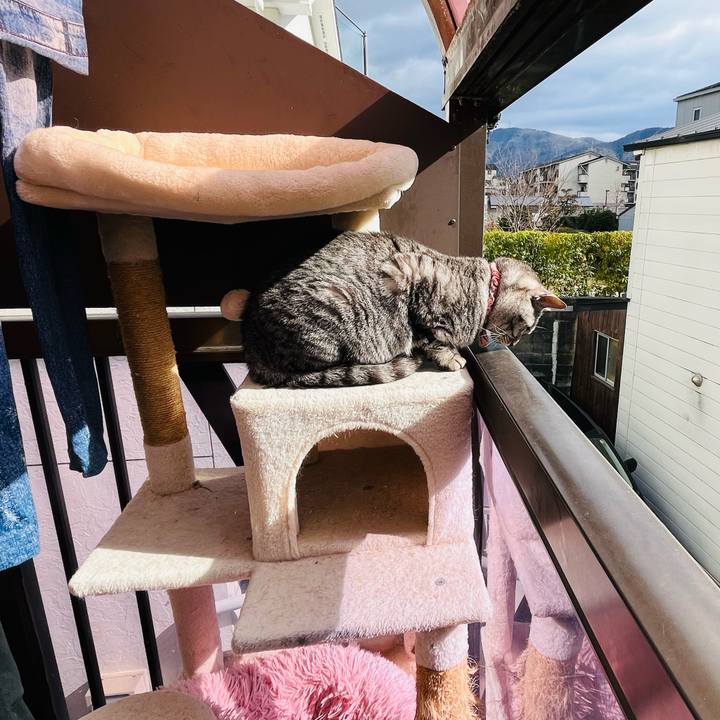 92172d4d f839 493d a182 efce3d1b616e 1770183074371