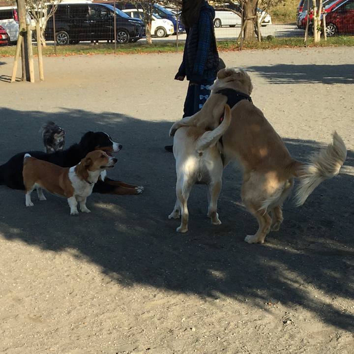 9217bef8 b516 45dd bfac d72e73cb62a4 1605497372994