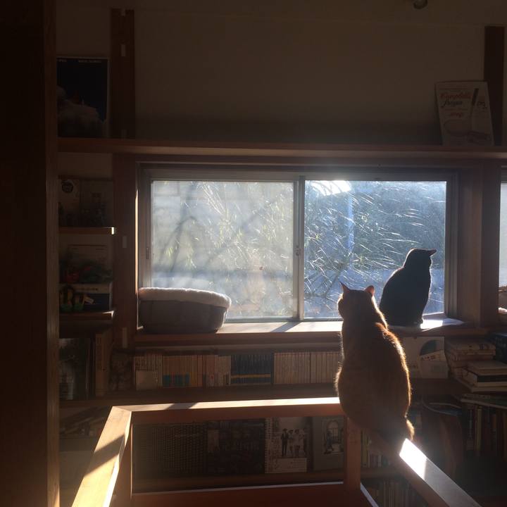 9217da1a 462e 46c6 86ba 106e5eaa192c 1581463000172