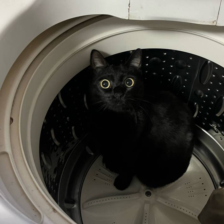 9217dde2 81ee 48a5 a7b8 dde0b0347d7c 1674856241210