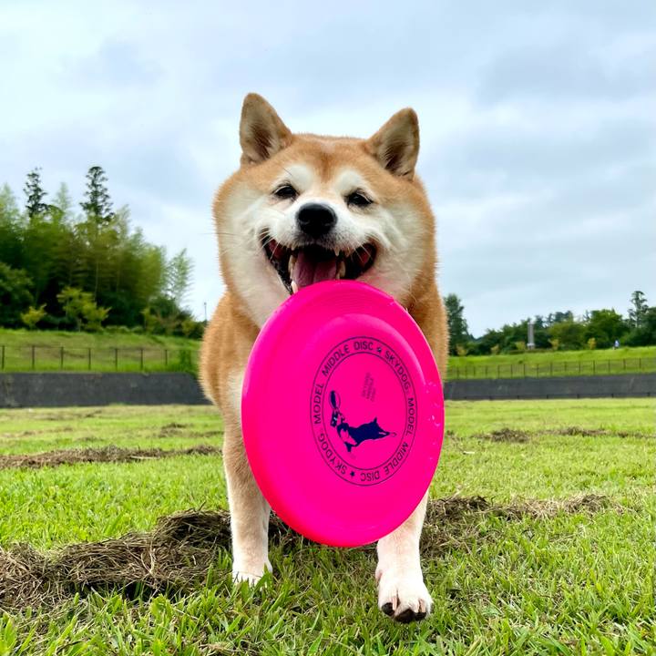 9217e516 f14b 4dab 85ed 123e09077208 1751887429063