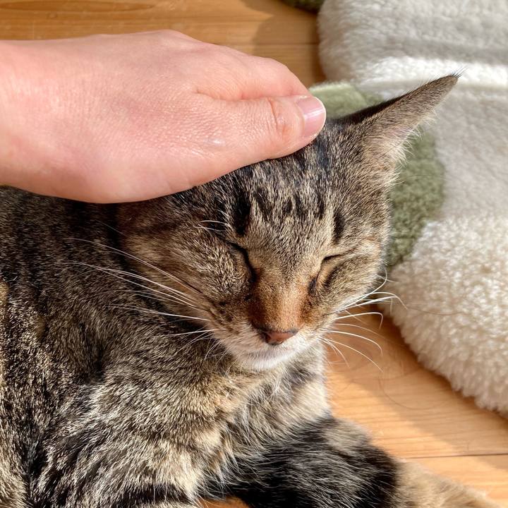 9217e519 b6e9 42ad aefe b5f78397e844 1642134261514