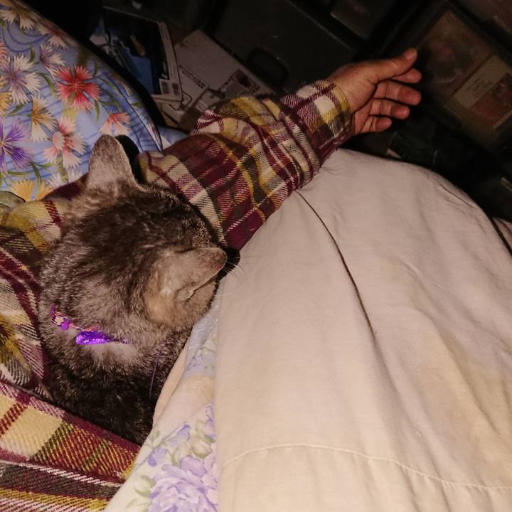 921823d5 3c80 4c66 b435 22ff2d85b260 1584111171104