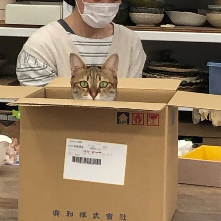 92182db0 36af 451e b291 2d5c5051eeb2 1665885710228