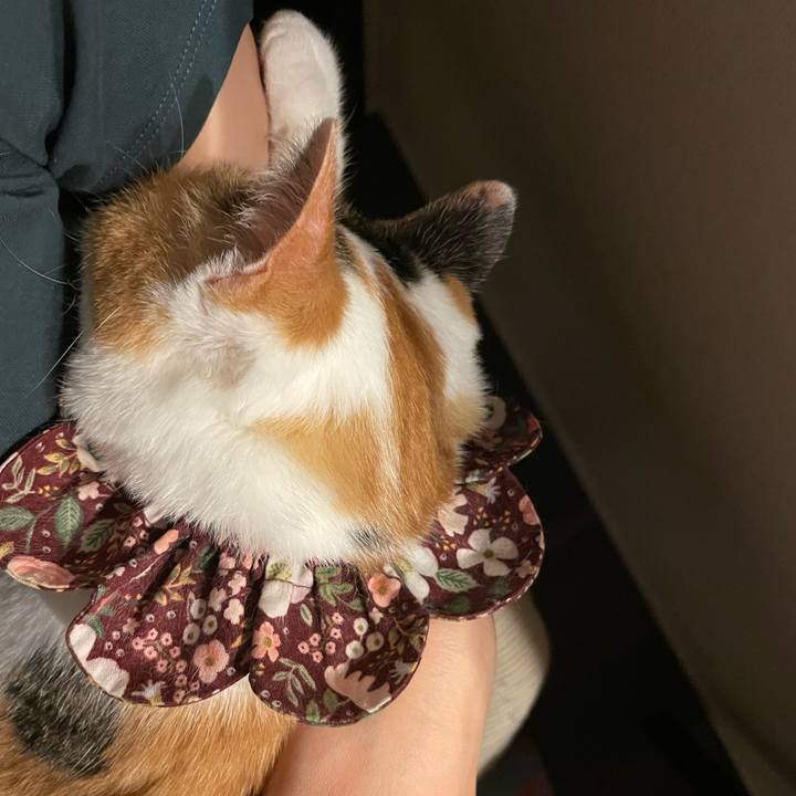 9218334b 3092 403e b8f2 f47f0c16106f 1759152946287