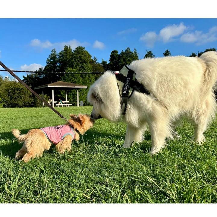 921881fa e0ef 4dd3 b532 64122e831b3f 1727098302903