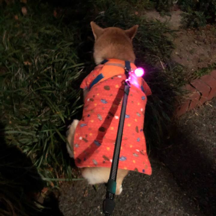 9218868a 2994 441d 88cd 90403ba81f07 1608635145121