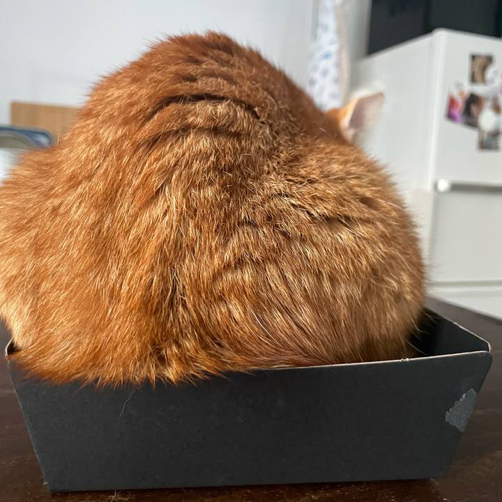 9218b5e0 1847 4118 adf1 e6df02686651 1760652519452