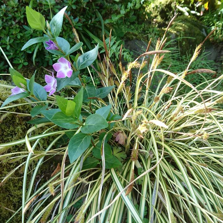 9218c578 fbe1 4974 a9cd 2267b4a71360 1555166321433