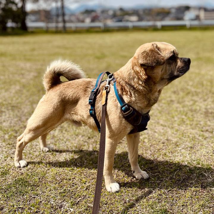 9218ea7c a928 4754 b76b 7a24d4ee3f9e 1774693119699