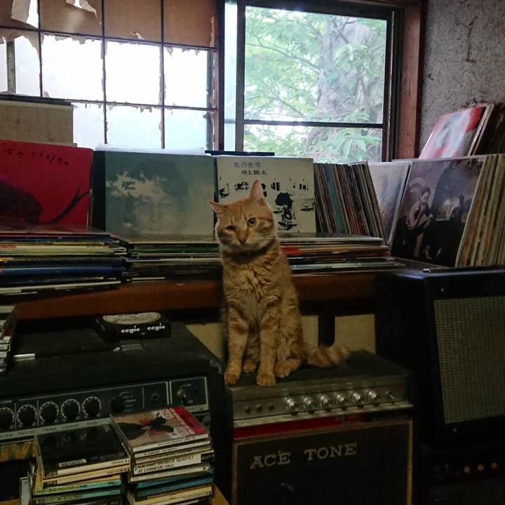 92190191 21d0 478a aa9f c6c7cd60494f 1660513081663