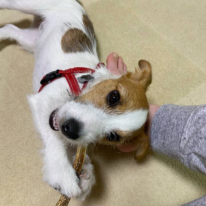 9219050a a06f 43d6 831d 2c3e572cbd13 1620221496701