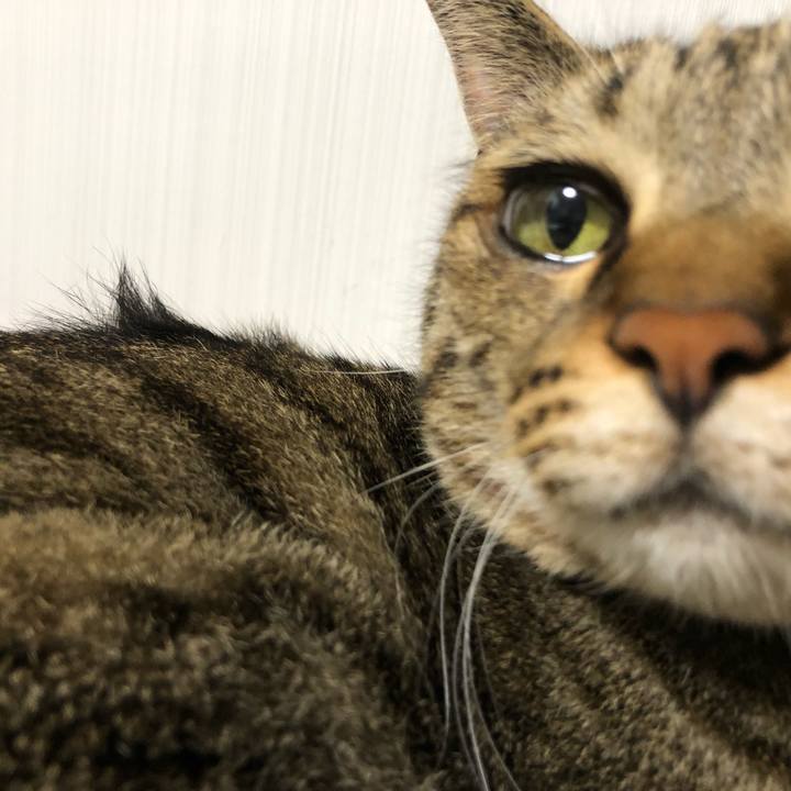 9219475e 4501 47ec a526 538bb84b2639 1625657198650