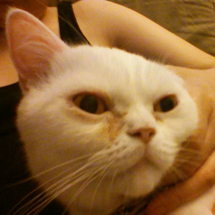 921951db f6ad 45d8 bf28 e47951393e08 1533423476254