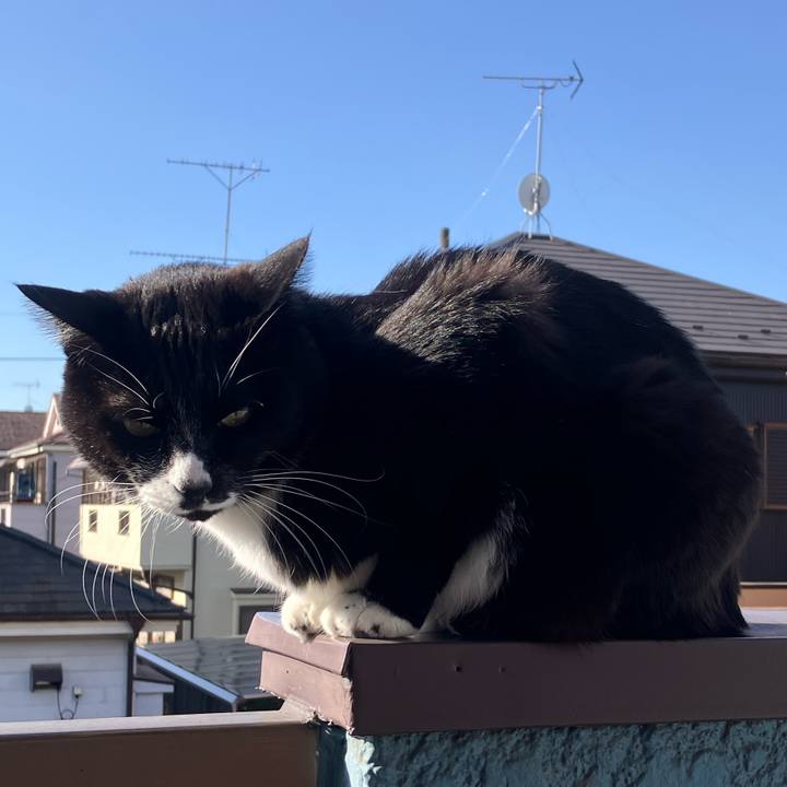 92195413 b4a4 4ec7 9856 bd8fe15ebb52 1768190055362