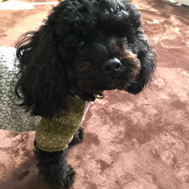 92195857 b06e 4dbb ac13 04be343565c7 1546655584375