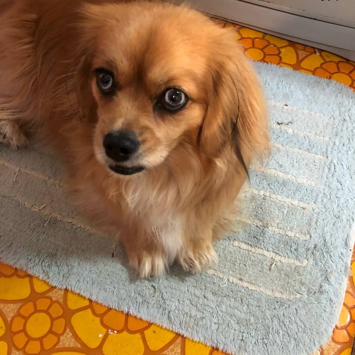 9219641f 9944 4583 a192 0d8ec84ed2ad 1557871545713