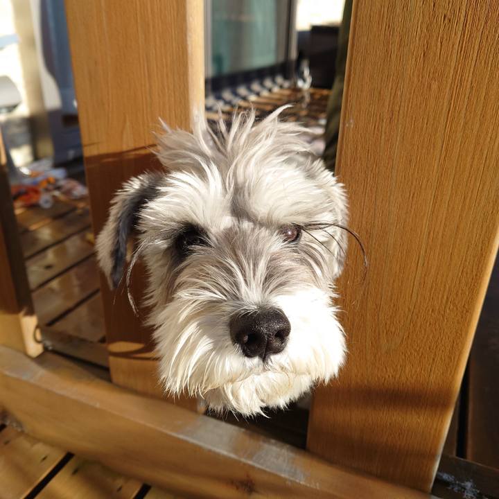 92196540 da64 4817 95a7 1c2254848a65 1765496601765