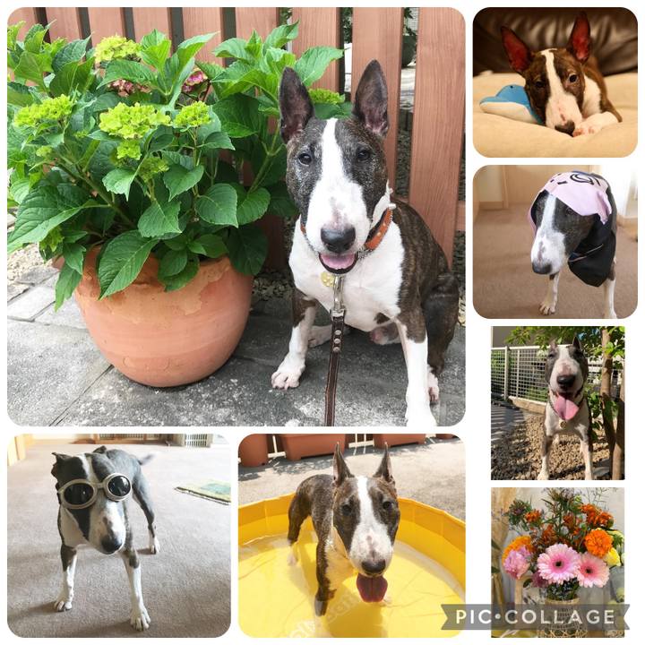 921978ae 1dd4 4b69 ab43 fe5fd2dcd348 1670240051488