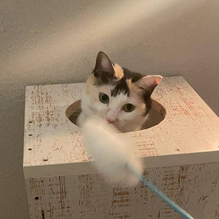 92198558 9962 4981 9a98 d14770c393c9 1725543939374