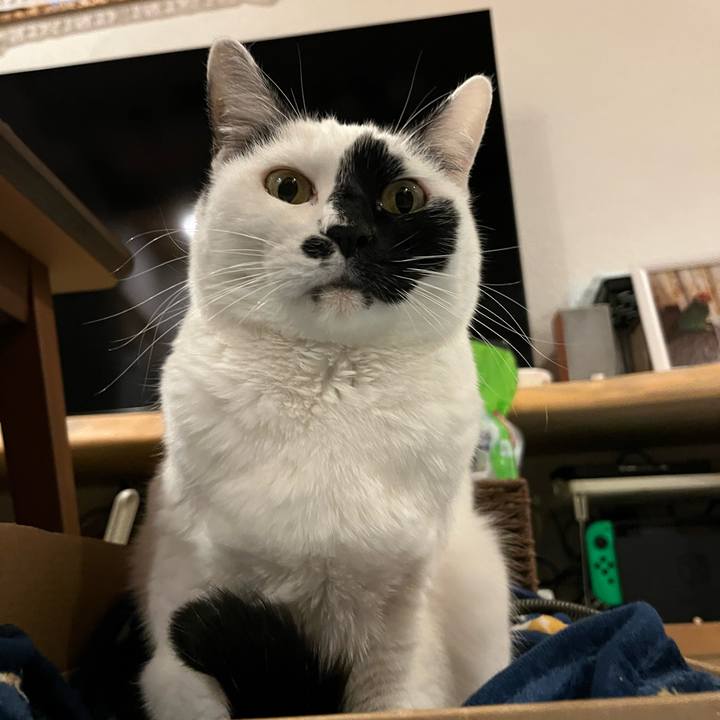 921985ae e1c5 465b bb6a 6ba743a279be 1764976594924