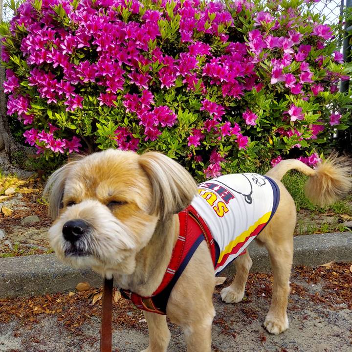 9219e19c 4e43 4758 b500 16de34c4b8ff 1618180292052