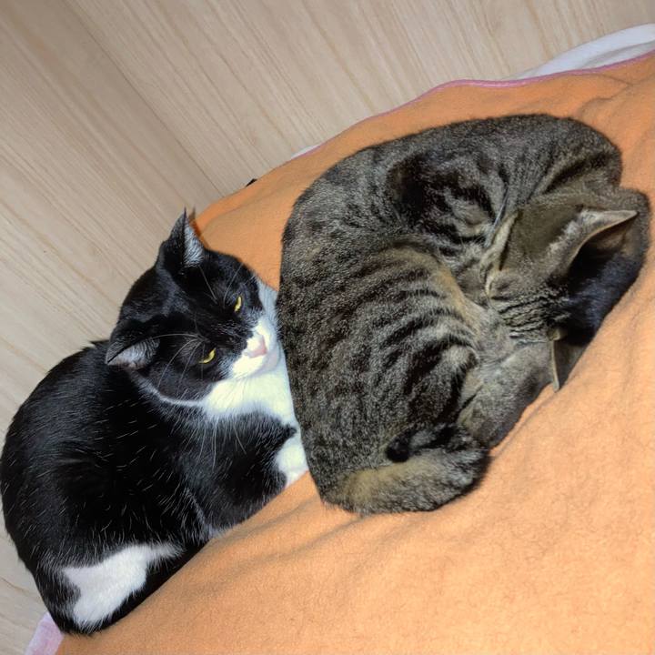 9219f0ce 06da 4849 943b eb23df0eb7a0 1680168242406