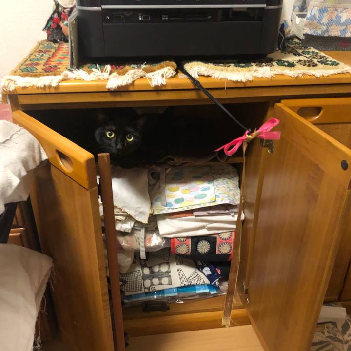 921a1bbe dedc 4952 9b18 d609191909a2 1596947411512