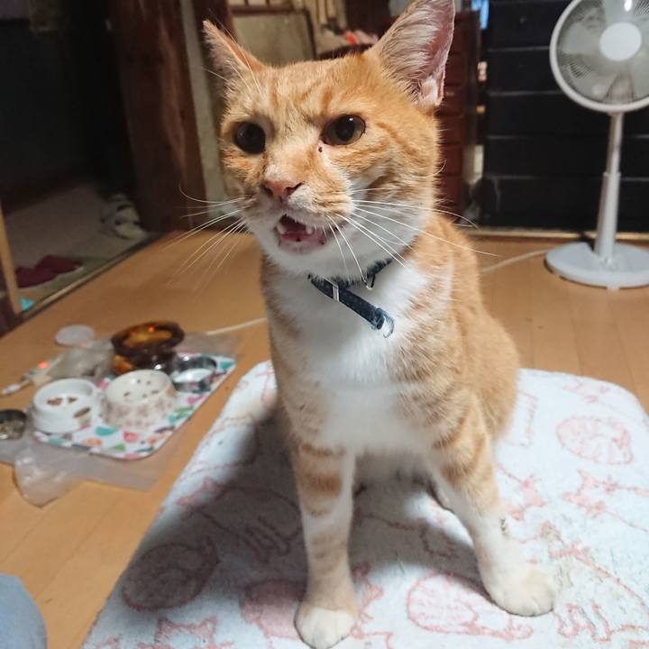 921a449c e9d0 473c 8cde 08894a2dfb5e 1598213744137