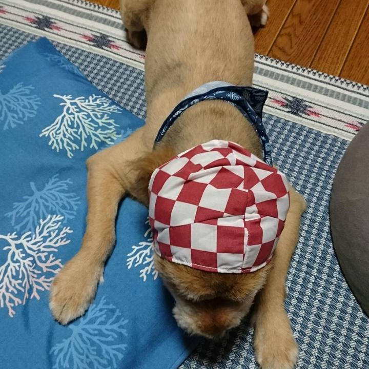 921a5c75 2360 49ec 8447 0f1db2cbc7a3 1537449489828