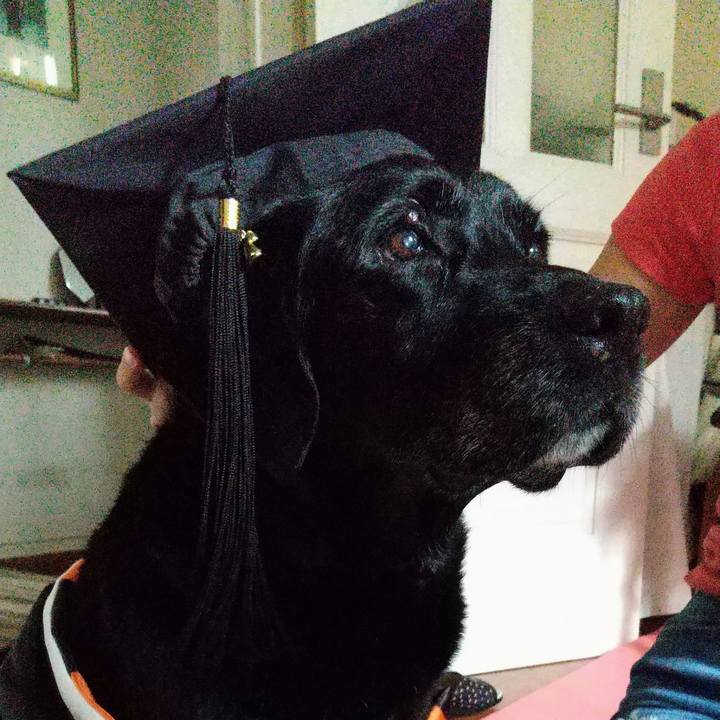 921a8db4 62cb 4aad 8495 fb579f5e84f8 1691803971553