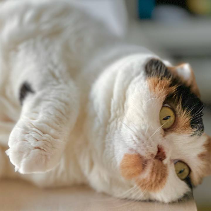 921aa39e f309 4c96 9282 cce82282e50b 1698023778194