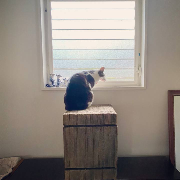 921ab164 c128 45d2 b769 016681fca021 1622923918307