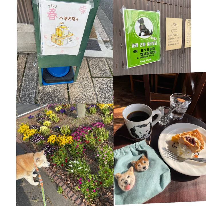 921ac795 512a 4624 8d00 c3de9bffbf93 1649237995106