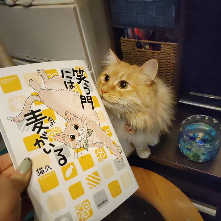 921ad2fd 5742 42c2 9c09 0c982f4cc975 1677076709079