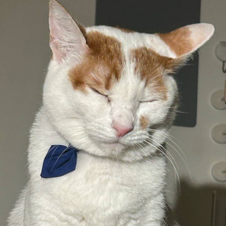 921af93b 09a1 4b80 b44f a1a9c29944d1 1761666575306