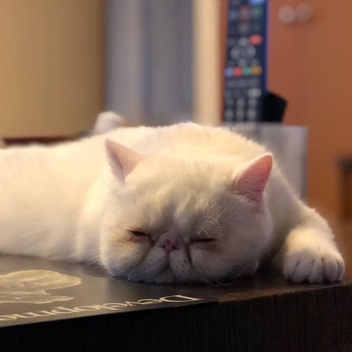 921b22f4 c8d3 472c 8160 249be17f3c68 1570845763160