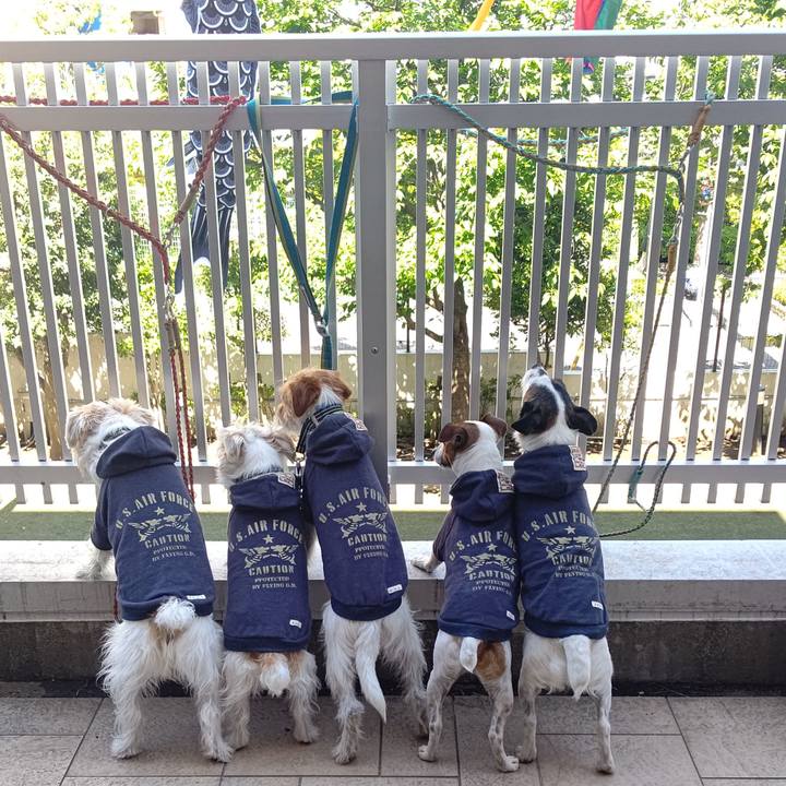 921b2412 2602 464a 907a def04521b2e0 1682766542262