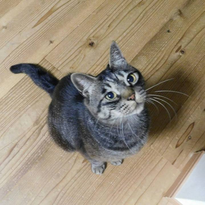 921b2e53 7db4 4f11 8c1e dd34a2c3af61 1531488438800