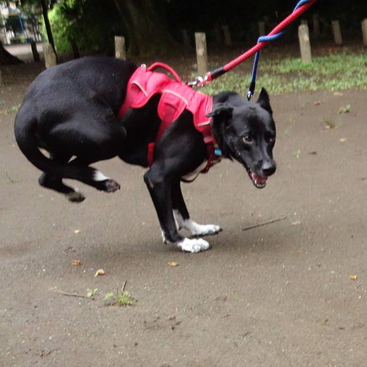 921bca84 8ec1 42dc 94b7 2fd50ea2bad8 1594600127764