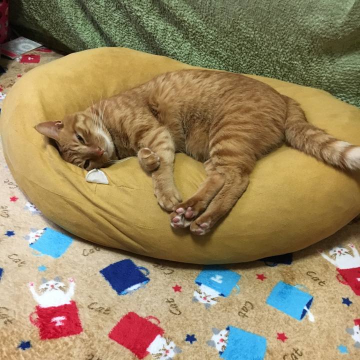 921bf502 1d94 4c19 882e 9f3baf14b8a7 1541309347491