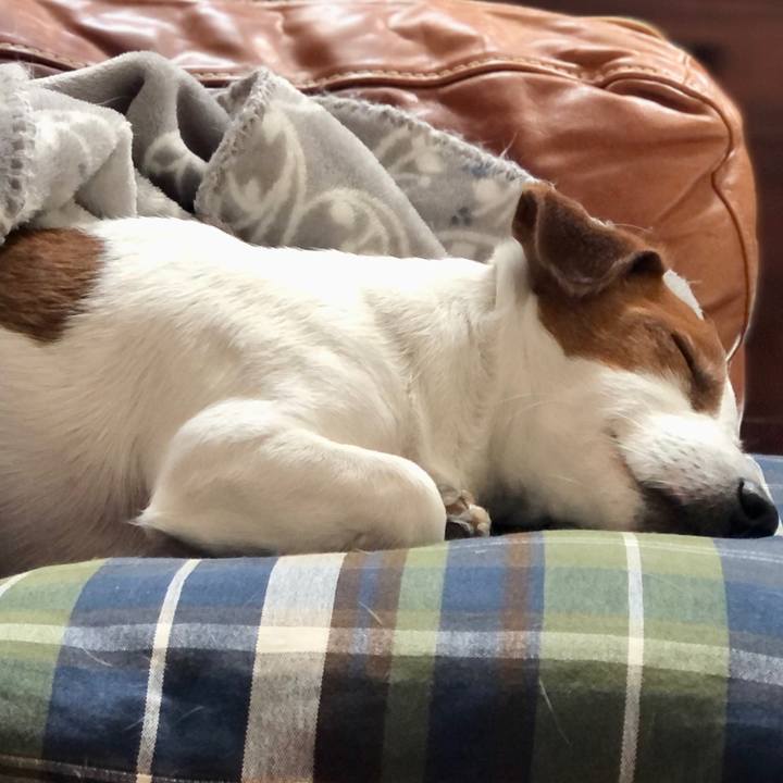 921c12da d8d5 4181 9359 eff89432050b 1647073928188